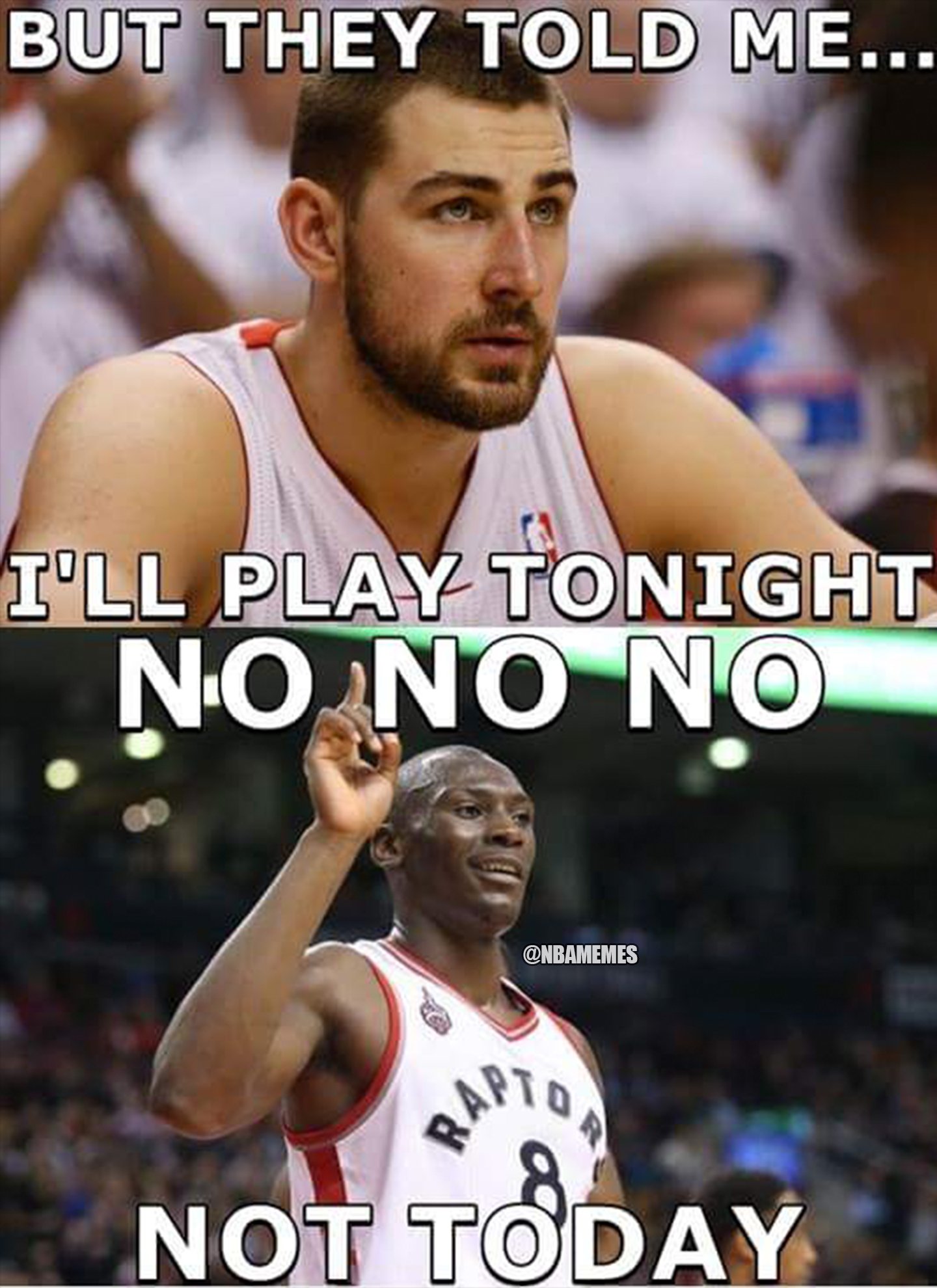 Toronto Raptor Memes Raptors Memes (@RaptorsMemes) / X