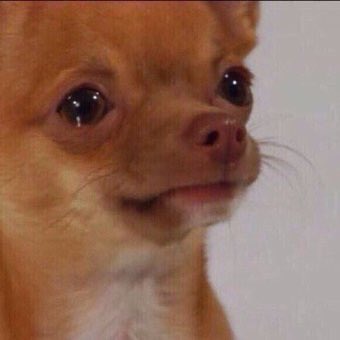 AnthonyOquendoA's tweet photo. Cuando veo las pocas horas que voy a poder dormir. https://t.co/1Ddz81NRaM