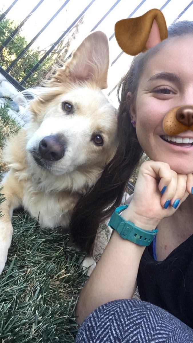 drewslayzz's tweet photo. doges https://t.co/C9wrkownSV