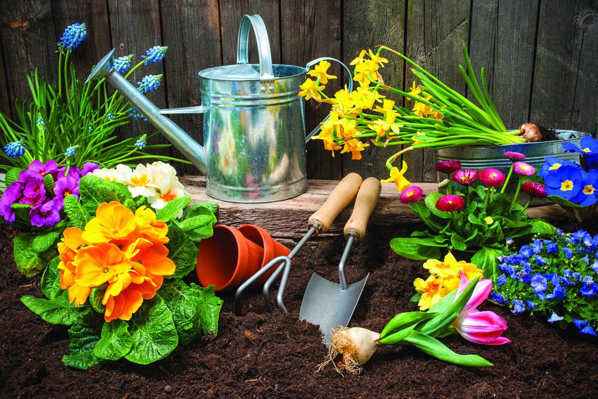 camdengardencen's tweet photo. Discover the benefits of #gardening with this fantastic #infographic from @AXAPPPhealth https://t.co/QLAU26TMuT https://t.co/FS82BPorTx