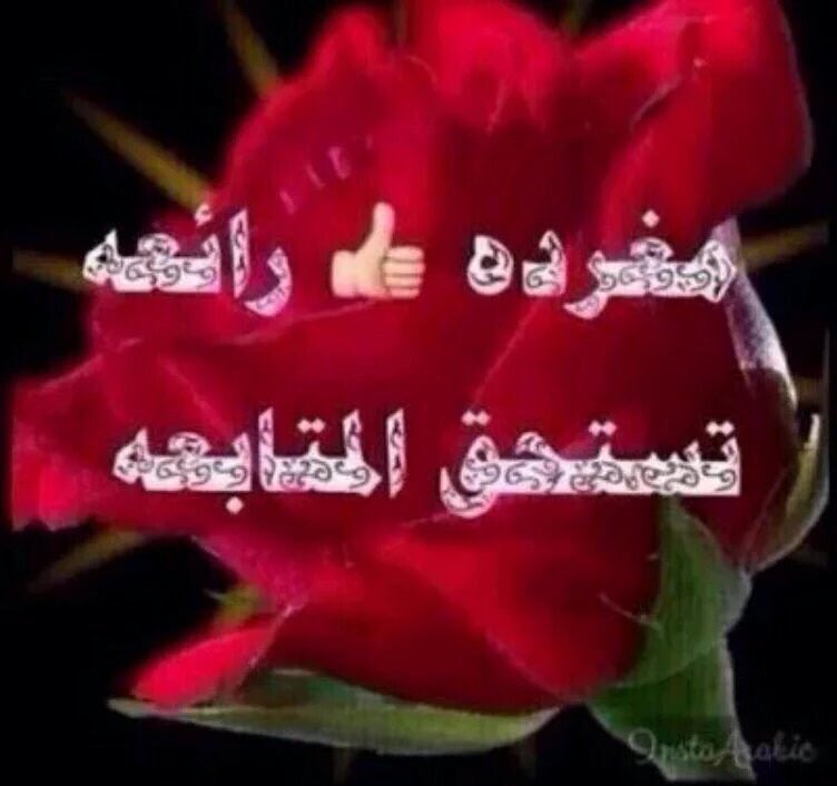 5jj_i's tweet photo. #شبيه_الريح_٨_الاف_متابع
ألف مبرووووووووك
#حساب_تشرفني_متابعته 
┊ ┊ 🔱متميزه
┊ ┊ ┊ ⚜رائعه
┊ ┊ 🔱مبدعه
@wpeaafnpRzk0Rfe https://t.co/8PEoUCFM79