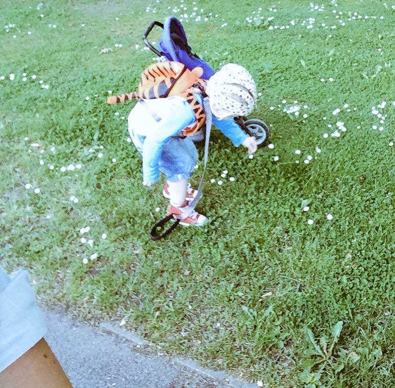 Rachwill92's tweet photo. My #autistic #superhero picking #flowers on the way home from #school yesterday #autismawareness #ASD #ADHD #muworld https://t.co/vQ2B2g5AkX