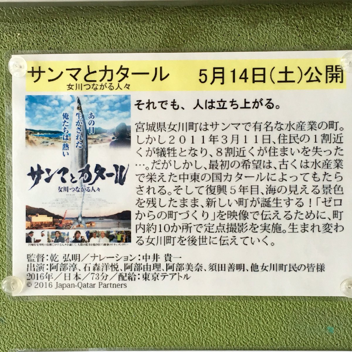 サンマとカタール