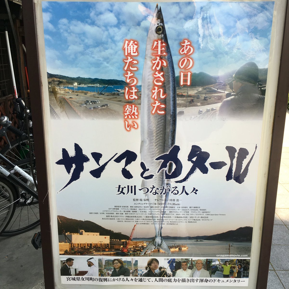 サンマとカタール