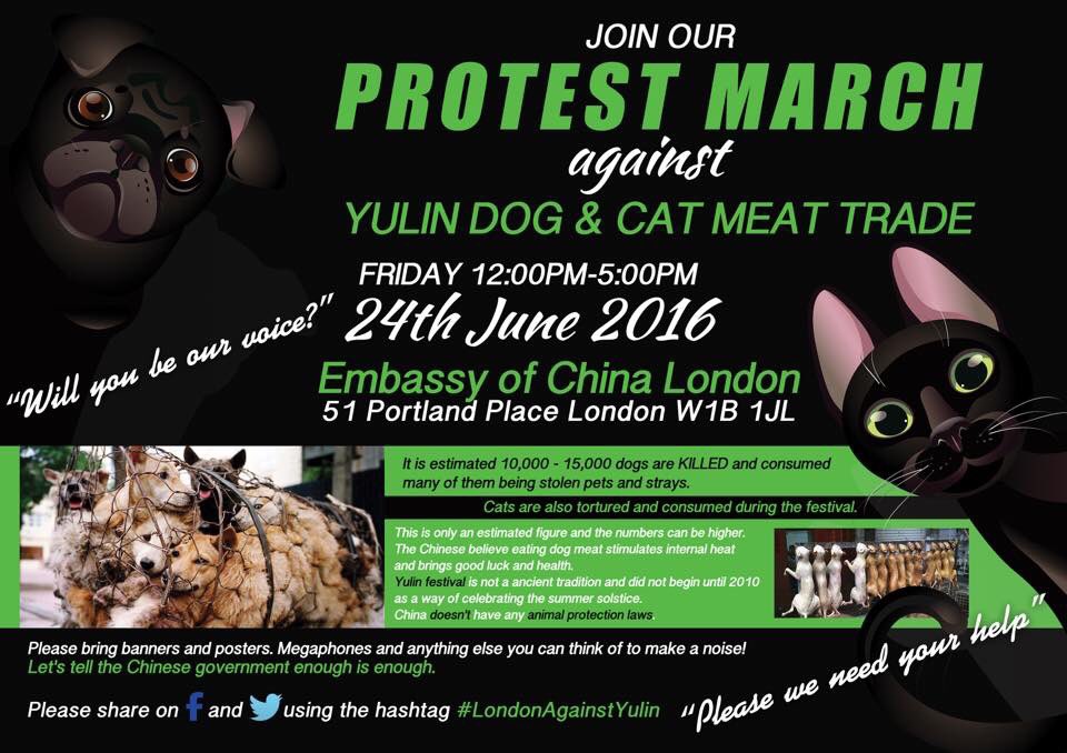 <a href="/AlisonSmith1968/">Alison Smith</a> <a href="/kerryjaneellis1/">.</a> <a href="/wendyharris2861/">YULIN/BOKNAL CELEBS (& The Fluffragettes(C)</a> join the demo in London 24th June #YulinDogMeatFestival