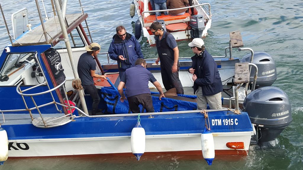 SagreeChetty01's tweet photo. @SABCnews sharks travelled overnight from two oceans aquarium for release while their shark exhibit gets revamped. https://t.co/OMLrJjmQka