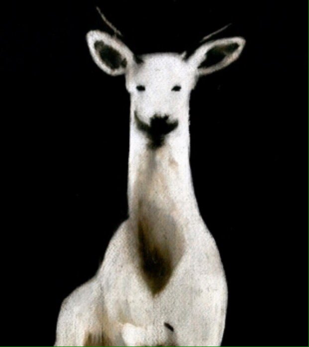 HET_Radio3's tweet image. &apos;Animalista&apos; en @LaCasaEncendida expo en defensa de los animales con de más de cien artistas @radio3_rne