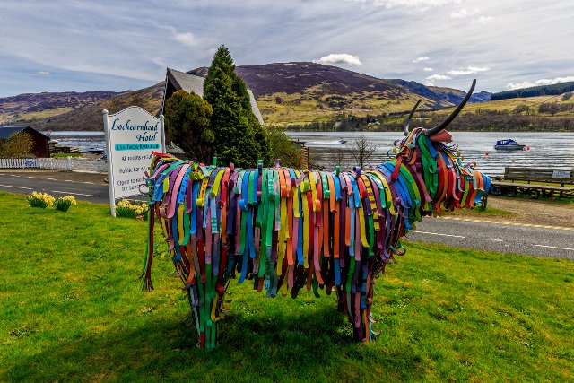 robroycountry's tweet image. Sponsor Lochearnhead Hotel Amanda's half marathon @runmhor for Bill The Bull's fav charity sponsorme.co.uk/amandakerr/rip…