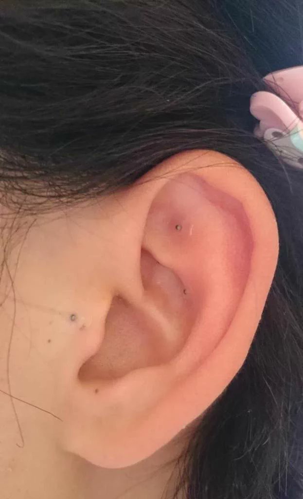 佐藤 史菜 Happyle Twitter