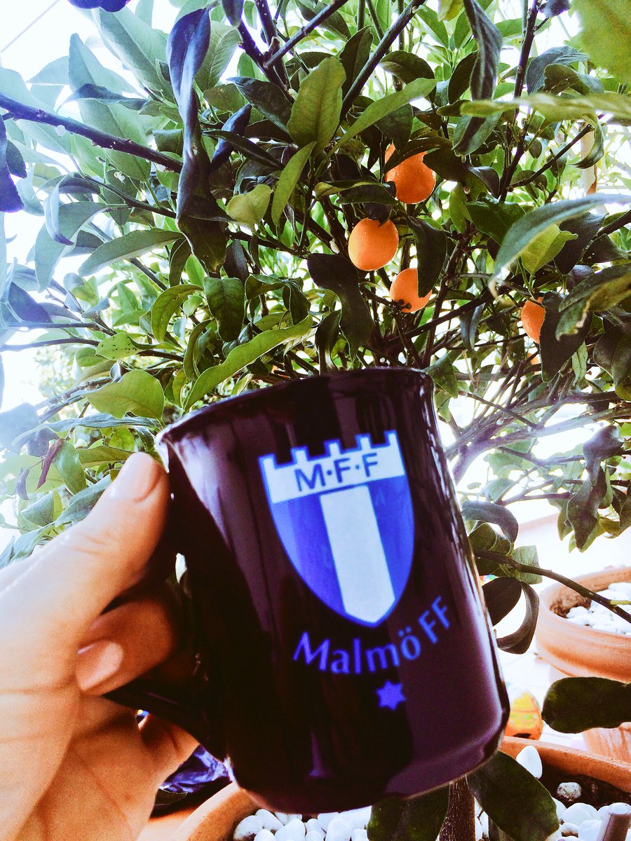 BeingMalin's tweet photo. Lide gytt frukostkaffe i Malaga! #mff #gomorgon https://t.co/DGwuvx5KRq