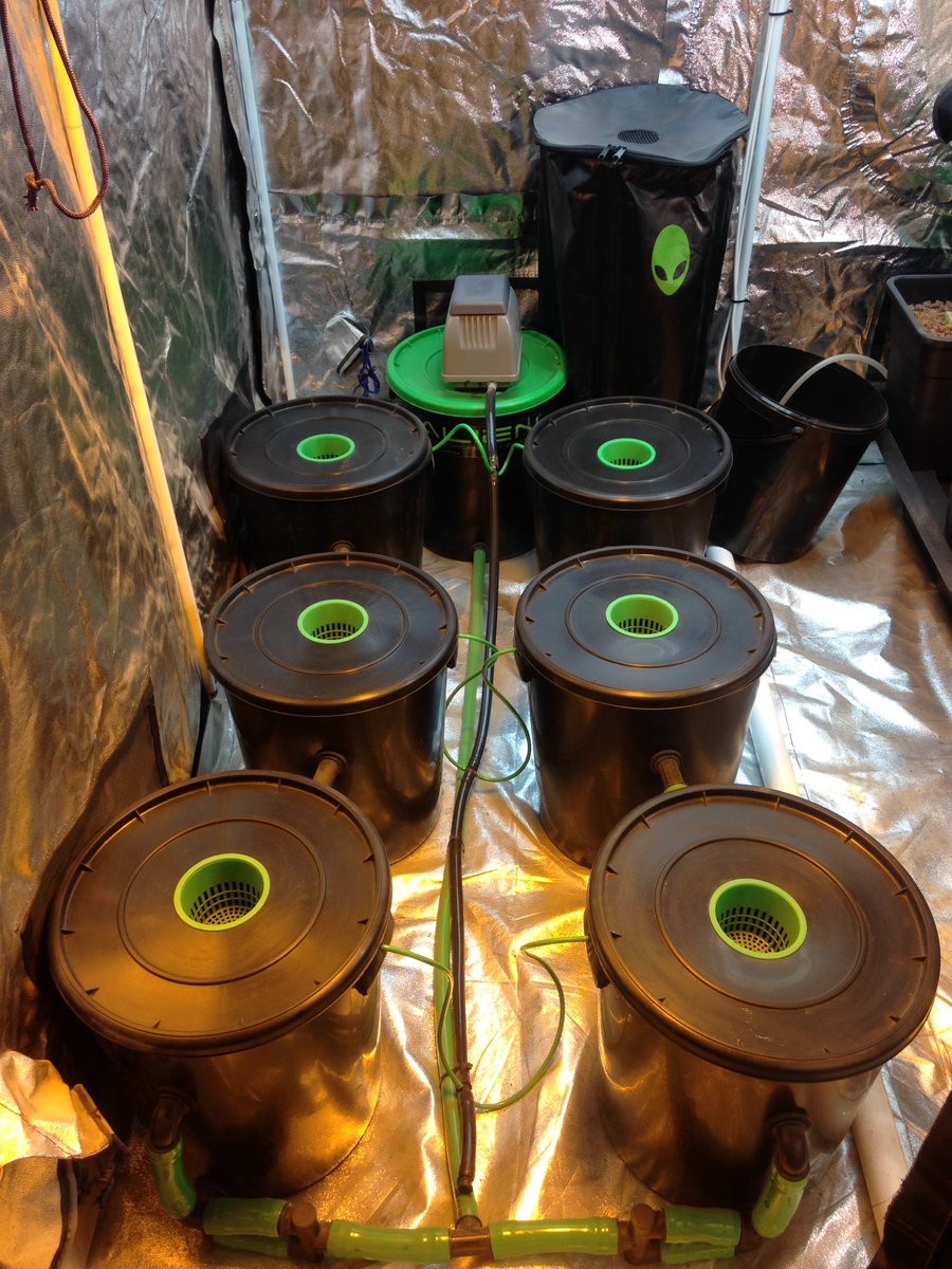 d_hydroponics tweet picture