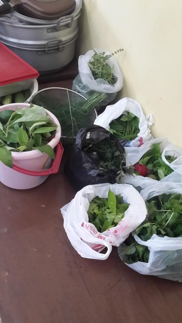 mekarjaya_sip's tweet photo. @ridwankamil @yossiirianto @andri_darusman pelatihan tekhnologi tepat guna pemanfaatan Toga Sukses berkebun di rw https://t.co/ZDqisMJ9yE