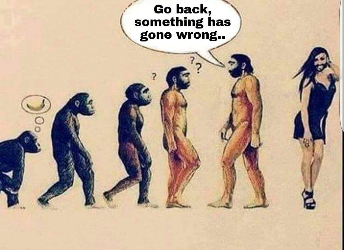 JamesCoolie's tweet photo. #EVOLUTION https://t.co/wq54pphURO