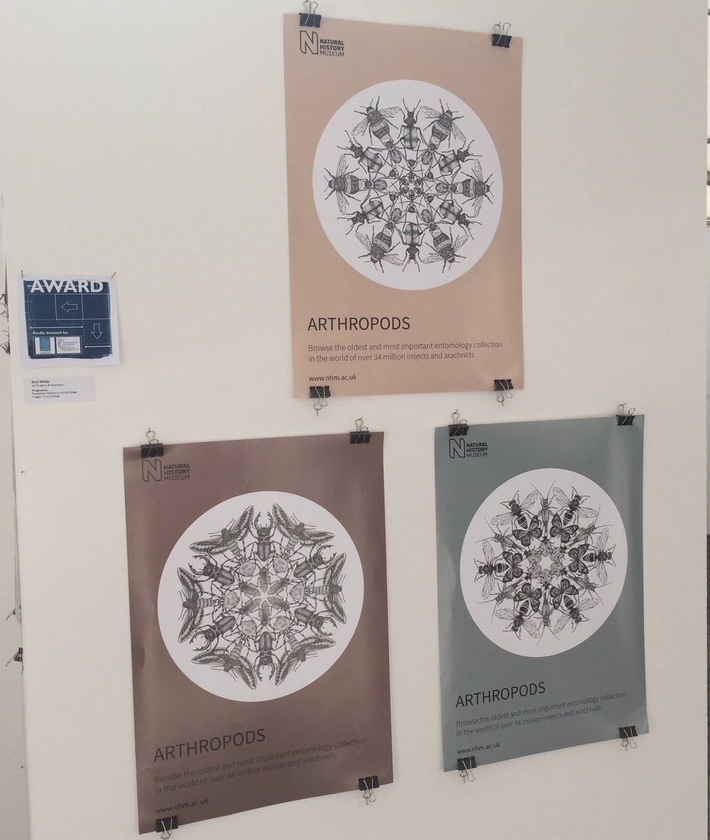 Trurocollegeart's tweet image. Winner of the @NADFAS Truro Decorative Fine Art Society prize for 'This Way Up' Erin Wildy