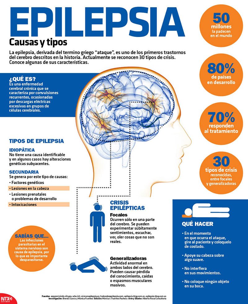 GrupoHLA's tweet photo. Día Nacional de la #Epilepsia. Causas, tipos y cómo actuar en esta #infografía de @Notimex https://t.co/17nXTEd1rn