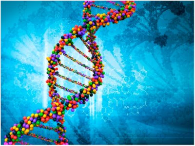slimgeneration1's tweet photo. we #design your program based on your unique #DNA.
https://t.co/rq5MSPJrzb https://t.co/igaTI6Tbhf