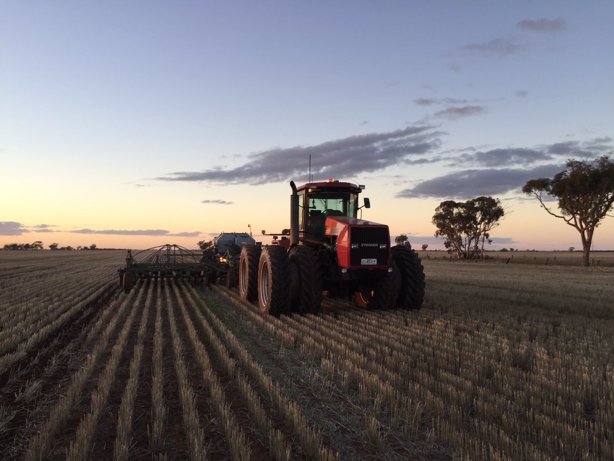 First day and last day of #plant16