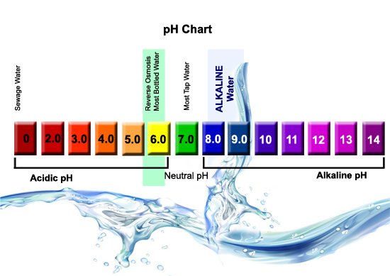vitamin_blog's tweet photo. Read about Importance of #PH Balance and Uses of #PHTestStrips.....
https://t.co/mQhijbXl5z #supplements https://t.co/nsKazqidkz