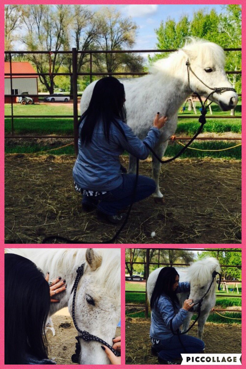 Even minis need massages 💖