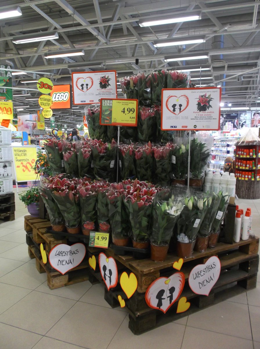Pērkot labestības dienas liliju Rimi, 1 eiro tiks ziedots bērnu priekam un veselībai.
#Labestibasdiena