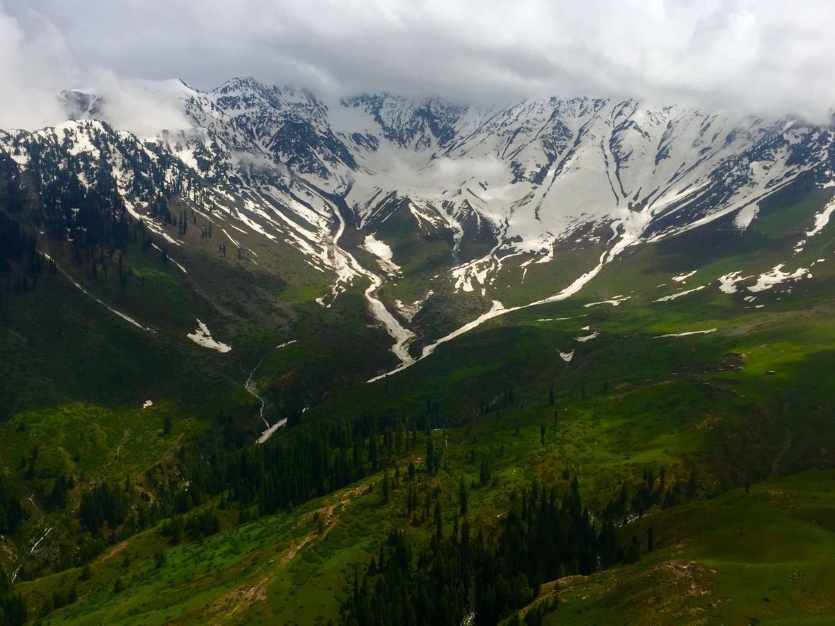 PTIofficial's tweet photo. Visit Khyber Pakhtunkhwa, Visit Palas, Kohistan #Tourism https://t.co/Fxhtd1BxmX