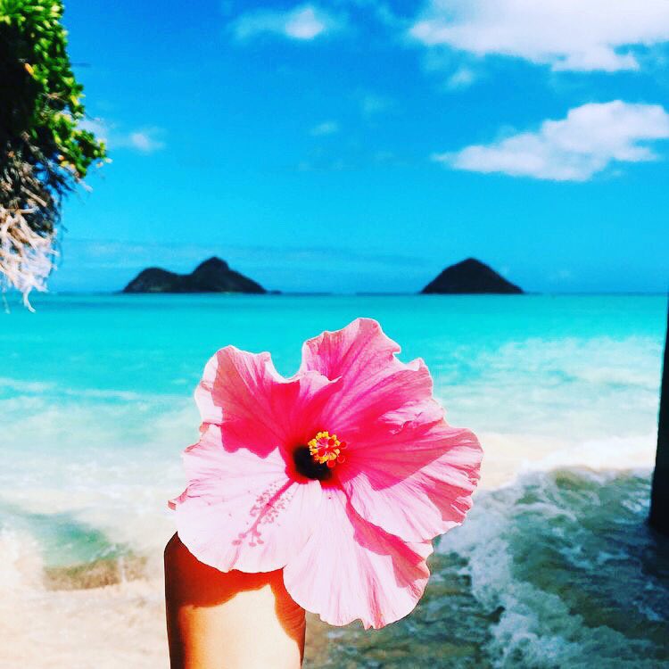 JennaJentry's tweet photo. Buh bye reality 🌺✌🏼️#MAUI #FAMILYVACA @theeddebrothers https://t.co/xQUt65h6tk