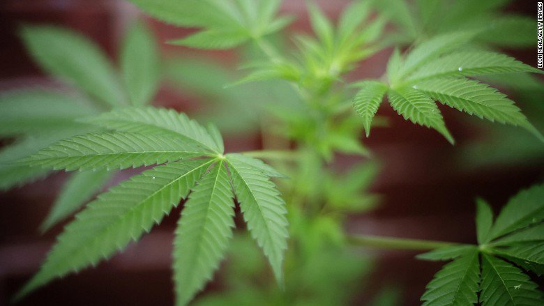 Why Nasdaq nixed a request by pot startup @MassRoots to be listed on the exchange: cnnmon.ie/1YVan5d