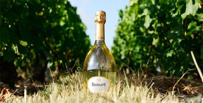La Maison éphémère Ruinart : le Rendez-vous des amateurs de grands vins… bit.ly/1WM5ldf
