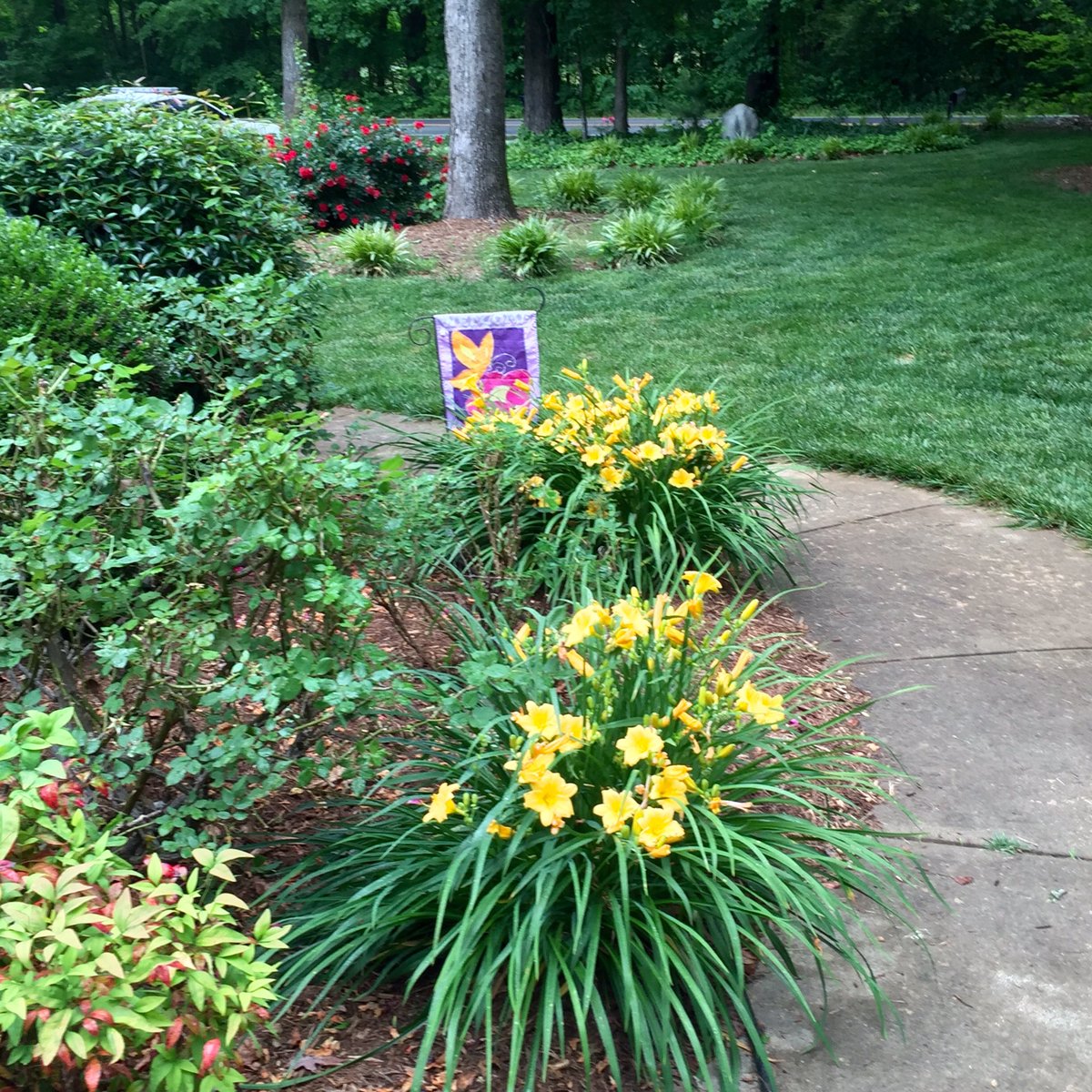 twostategirl's tweet photo. #springwalk https://t.co/JcC3brG1lr