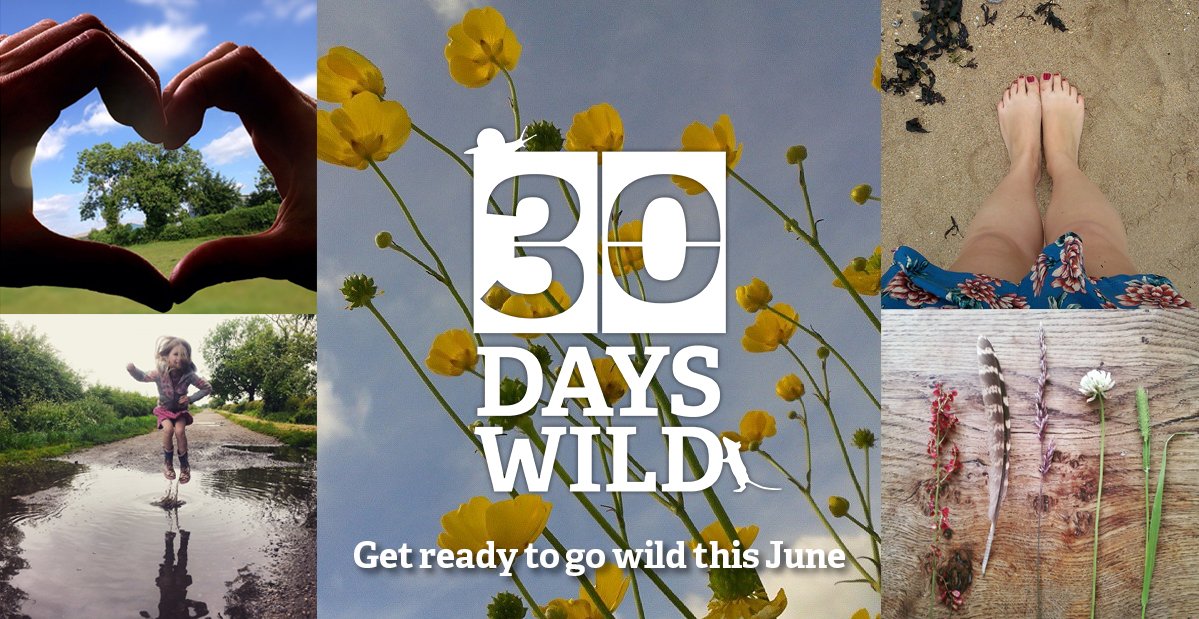 WildlifeTrusts's tweet photo. Sign up for your FREE #30DaysWild pack, to help you go wild for a whole month this June https://t.co/EDB3KdeYlV https://t.co/BqCChsPfIM