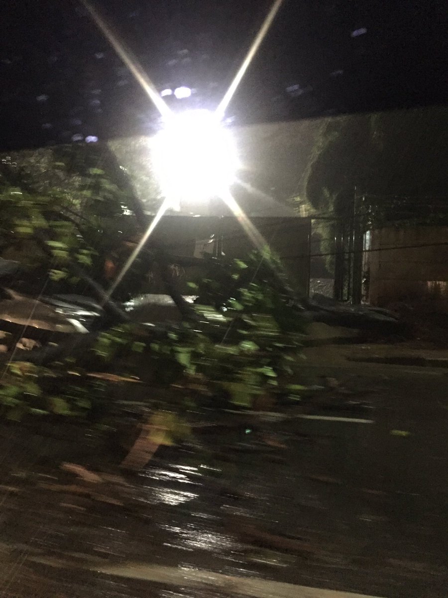 windafs's tweet image. Mobil Ketiban pohon tumbang