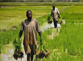 UN_Water's tweet photo. Want to learn more about "improving food security &amp; reducing rural poverty"? Check this out: https://t.co/emFGicc0d0 https://t.co/X0gUETPHHI