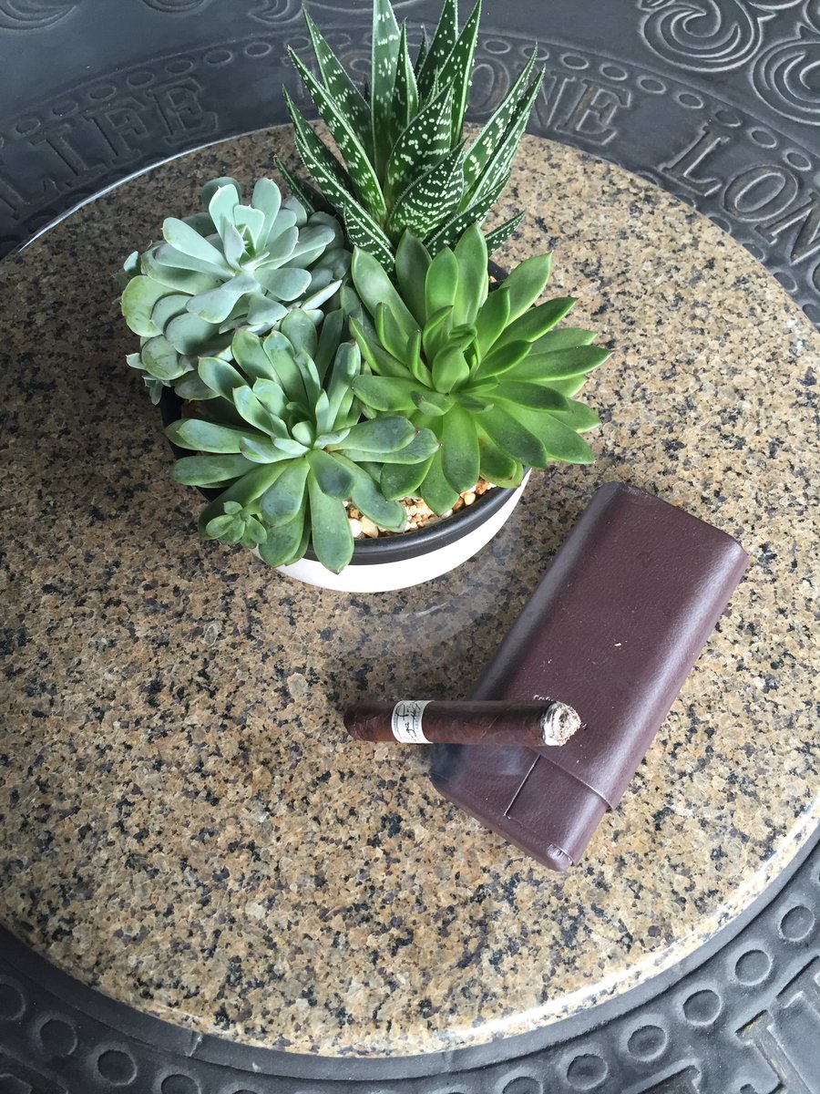 DistinctiveAsh's tweet image. #ligaprivada great smoke to start the morning on yet another rainy day. #number9 #distinctiveash #rainyday