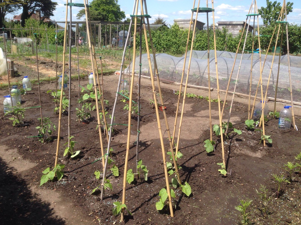 Martin Welsford💙 tweet media