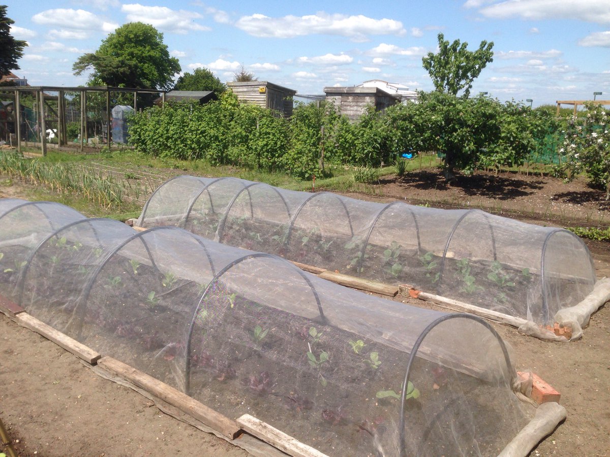 Martin Welsford💙 tweet media