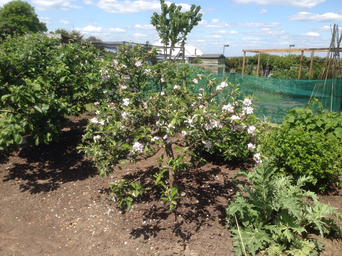 Martin Welsford💙 tweet media