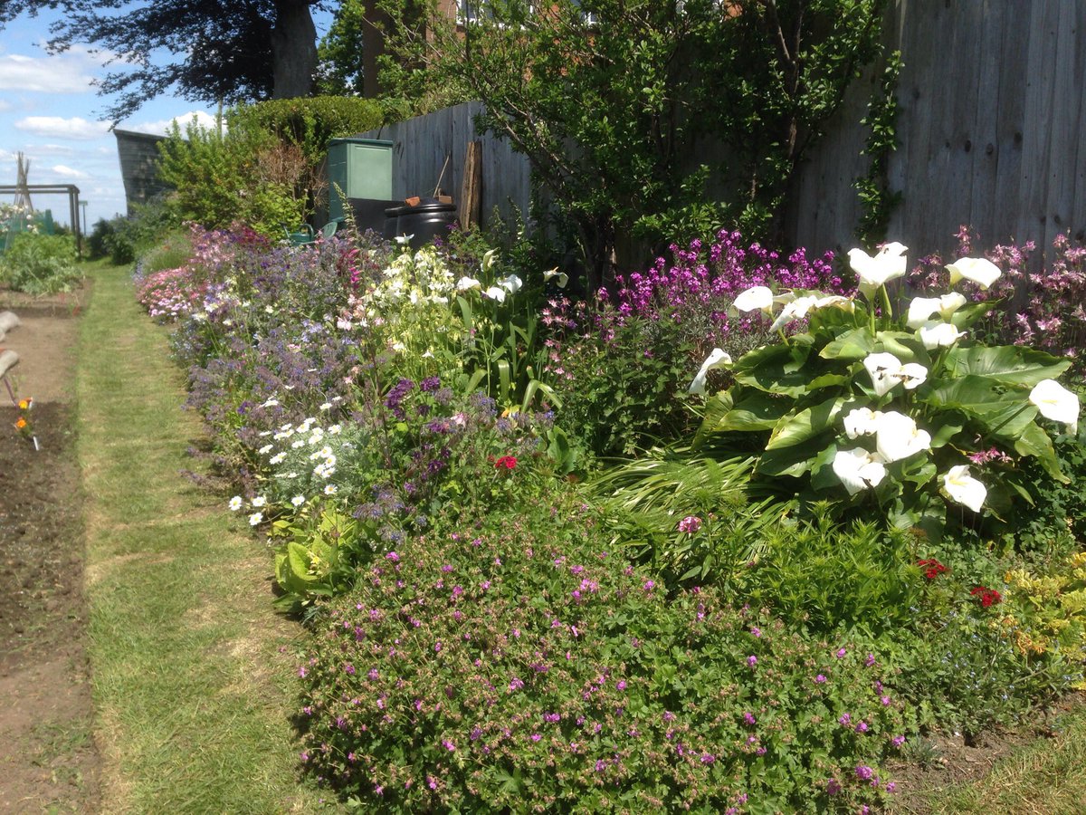 Martin Welsford💙 tweet media