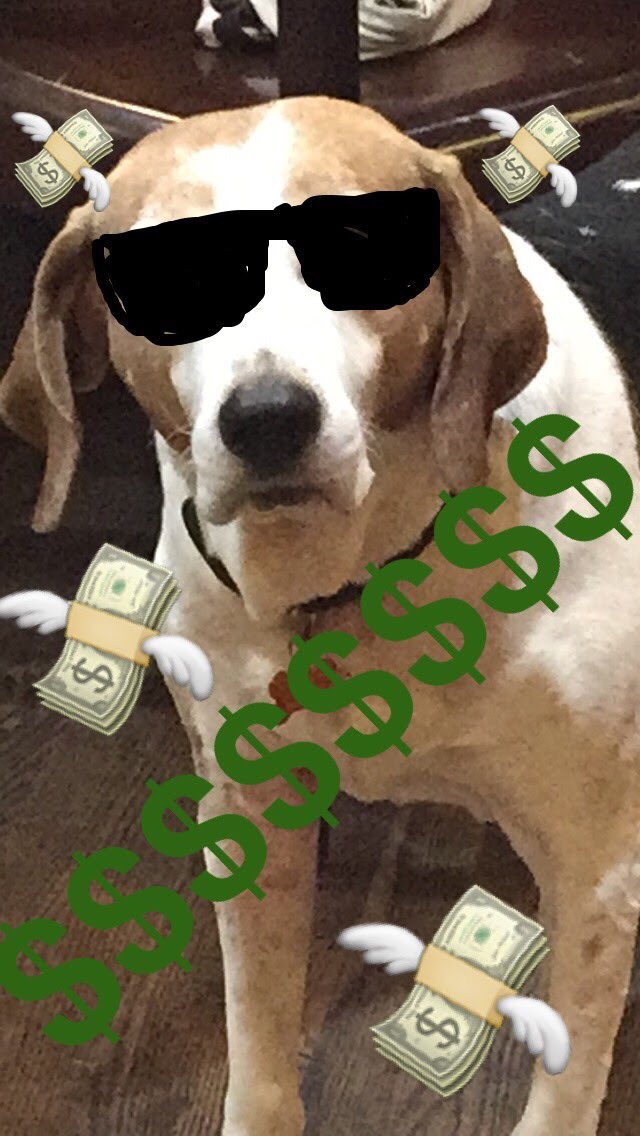 tillie_sam's tweet photo. #litinlit #fonzi https://t.co/N3CBdj4OYm