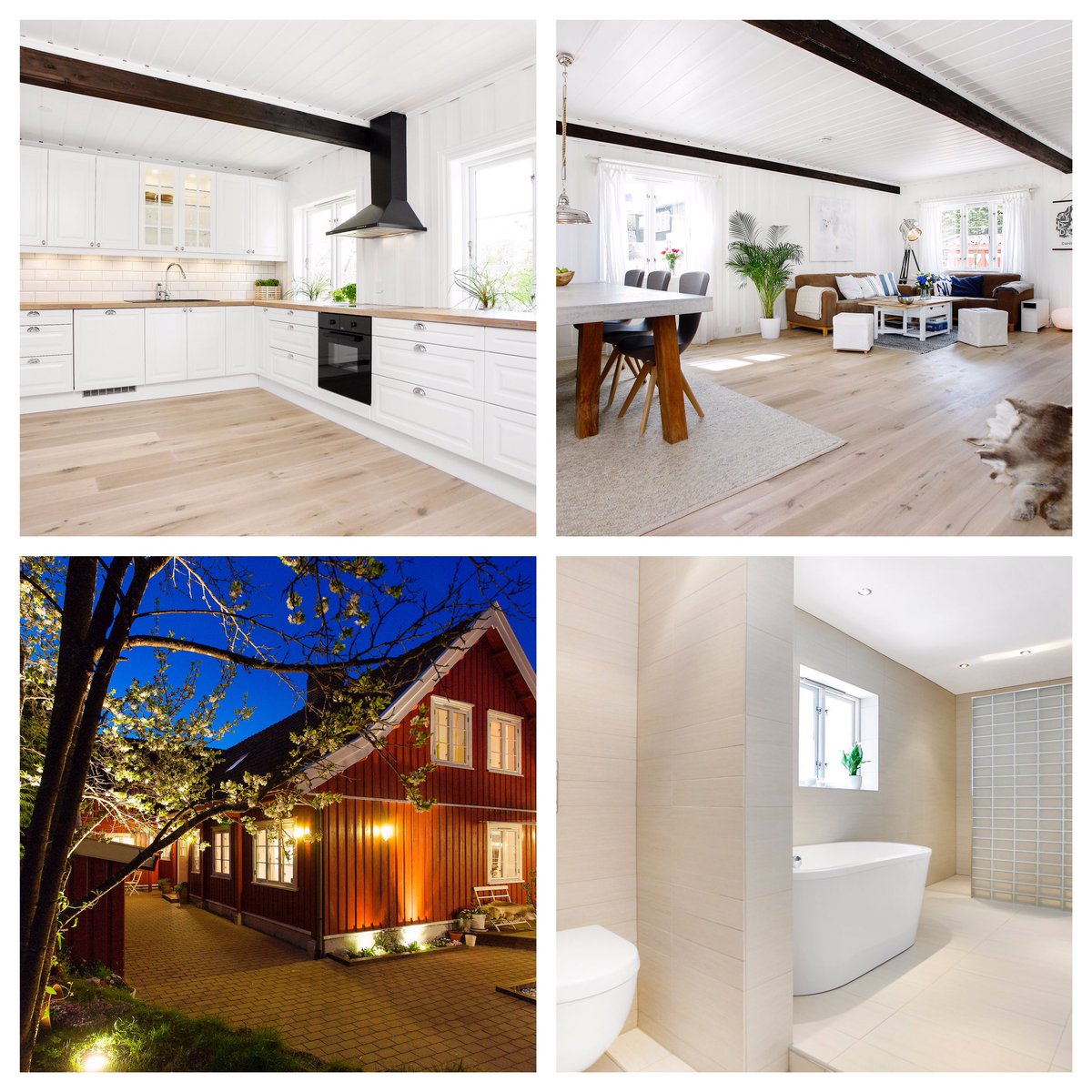 Anne Rimmen tweet media