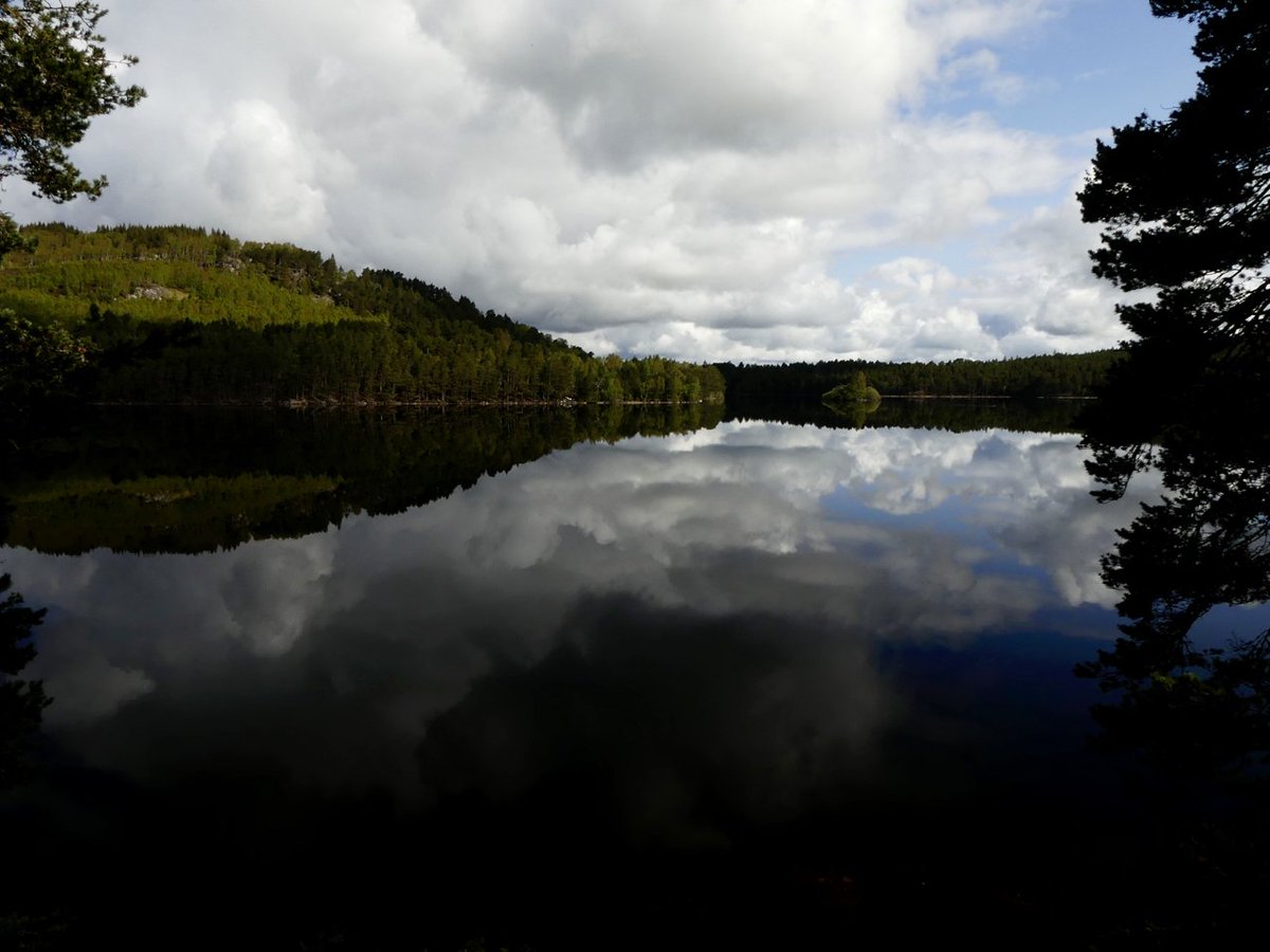 VirtualScotland tweet picture