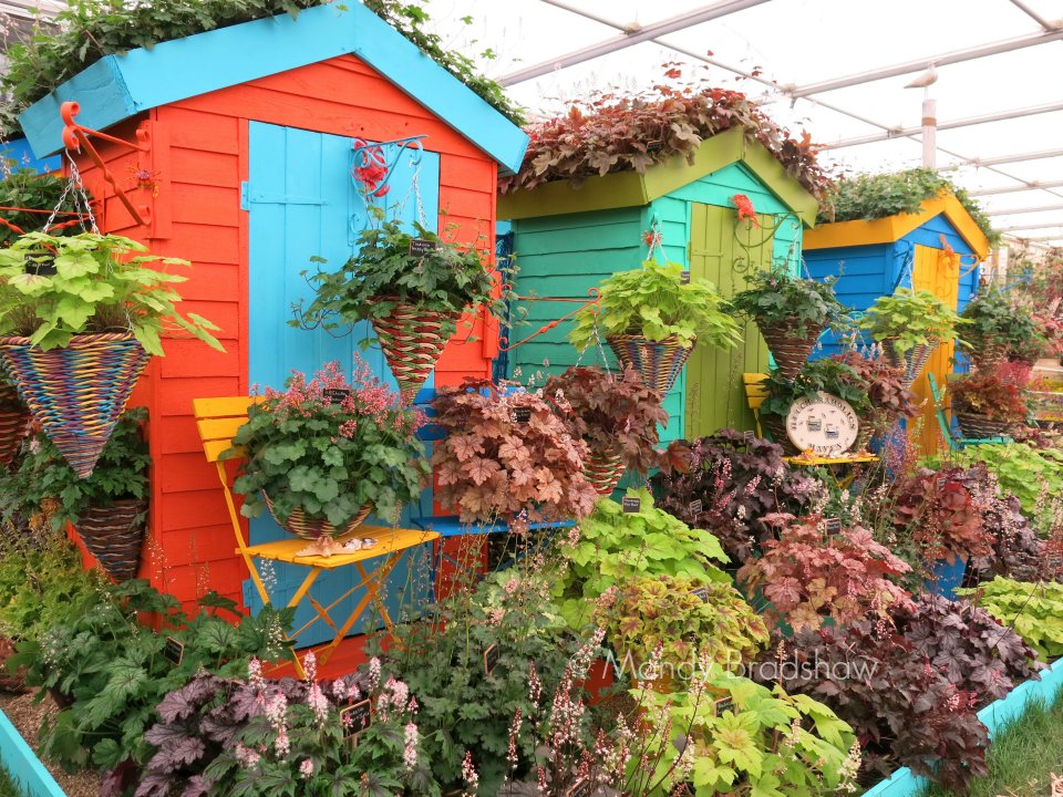 ChattyGardener tweet picture