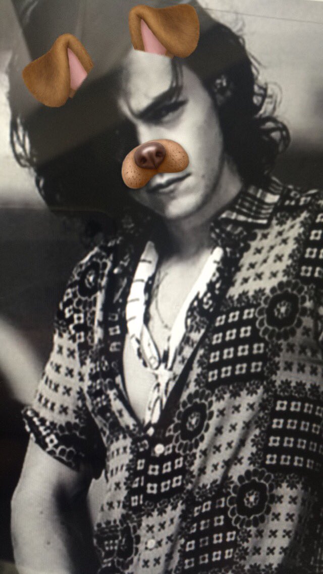 I shall never stop with the puppy filters.