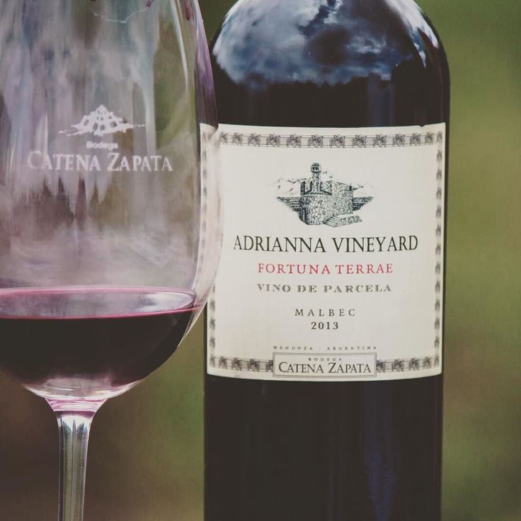 PremiumTasting's tweet photo. Adrianna Vineyard Fortuna Terrae 2012 obtuvo 100pts de @JamesSuckling Felicitaciones @CatenaMalbec ! #Gualtallary https://t.co/RMpXSaoyj5