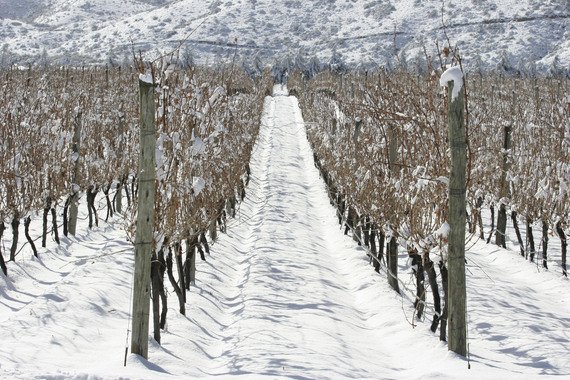 Adrianna Vineyard Fortuna Terrae 2012 obtuvo 100pts de <a href="/JamesSuckling/">James Suckling</a> Felicitaciones <a href="/CatenaMalbec/">Catena</a> ! #Gualtallary