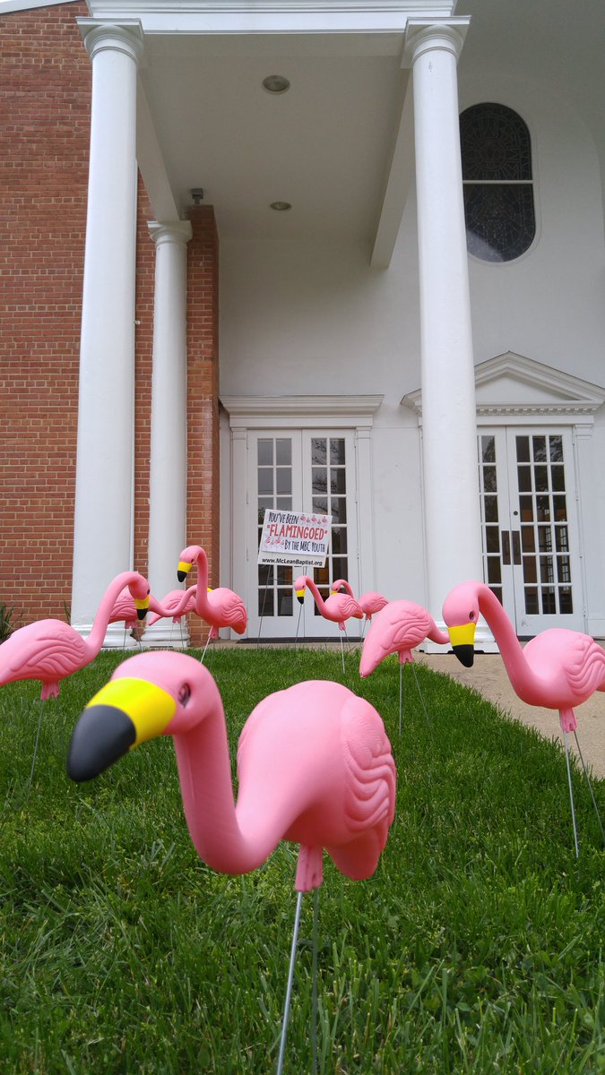 jonkelley's tweet photo. Want to ensure that someone gets #flamingoed? The @mcleanbaptist youth are ready to deliver! https://t.co/TwgAVoCXfS https://t.co/n5jXB0224E