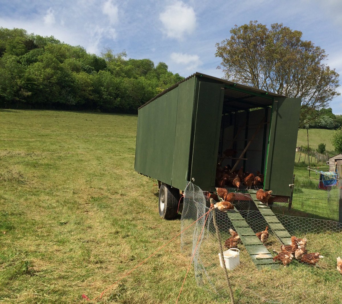 new Hens settling into Court Farm. Home made #freerange eggs on their way <a href="/RAFarmersMkt/">RA Farmers Market</a> &amp; in the shop #eggmobile