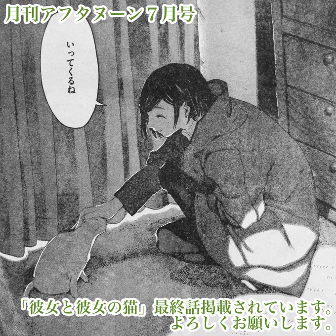 1- 17 巻　ブルーピリオド　山口つばさ　+　彼女と彼女の猫★16 もほぼ新品 新品 / 特典あり ブルーピリオド (1-17巻 最新刊) POP風限定描き