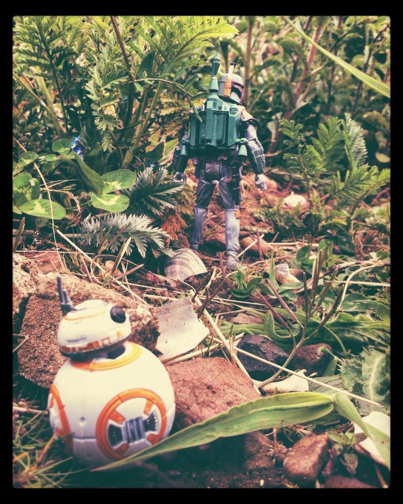 hashtagstarwars's tweet photo. New #StarWars Instagram by @mirren_audax // Hide and seek. #bb8 #bobafett #subatomictourism #theforceawakens #manda… https://t.co/65kMbFBXMp