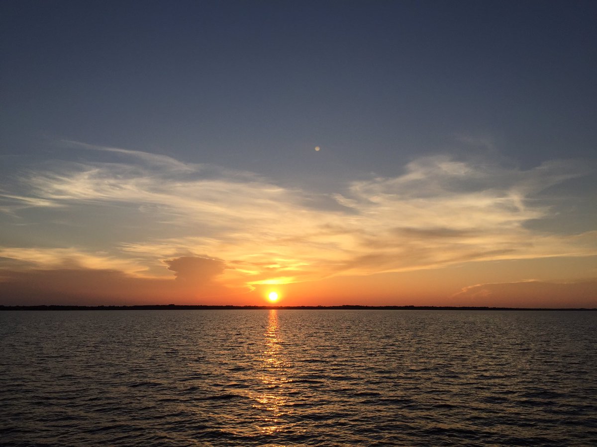 VisionBlu's tweet image. 