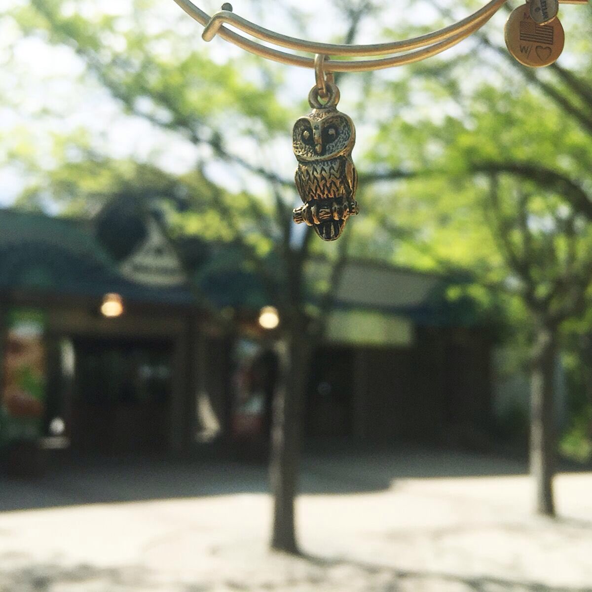 alexandani's tweet photo. This is for the "party" animals", meet us at this legendary home for all our furry friends in Cranston. #location6 https://t.co/fs2528RqSD